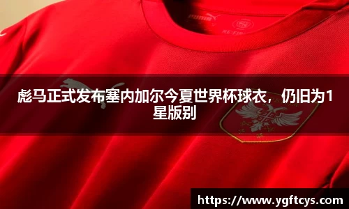 伟德体育